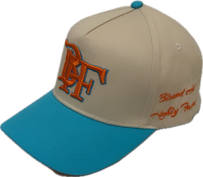 BHF BASEBALL HATS