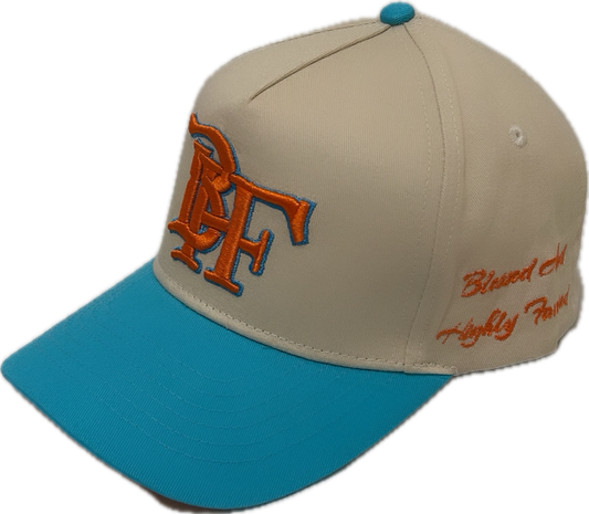 BHF BASEBALL HATS